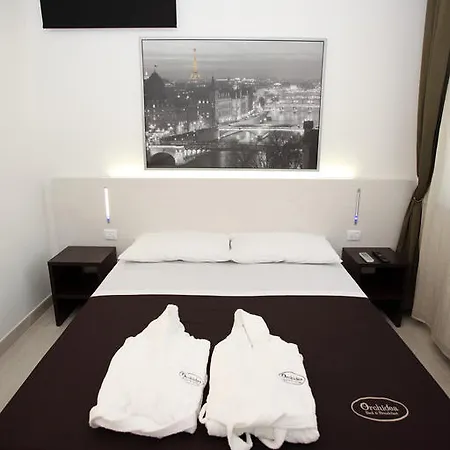 Orchidea & Civitanova Marche