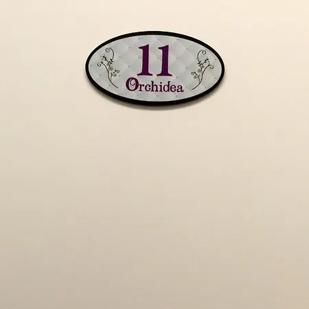 Orchidea & Couette-café Civitanova Marche