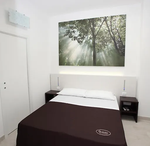 Orchidea &