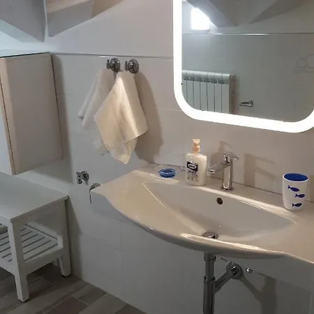 Orchidea & Civitanova Marche