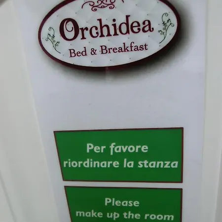 Orchidea & Civitanova Marche