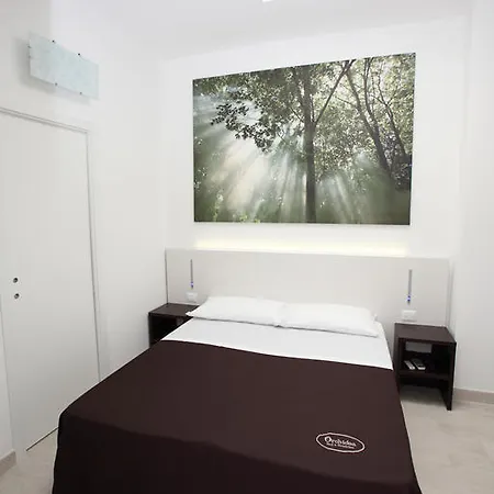 Orchidea &