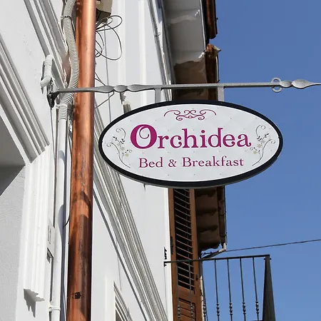 Orchidea &