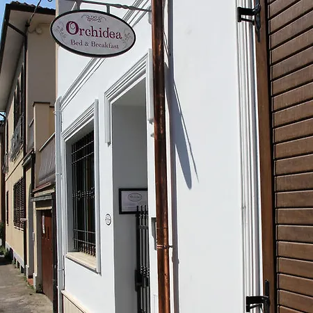 Orchidea &