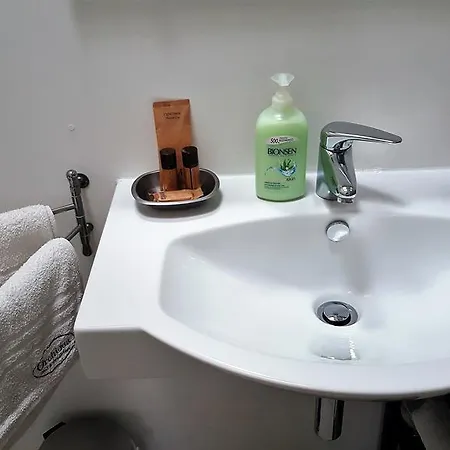 住宿加早餐酒店 Orchidea & 3*