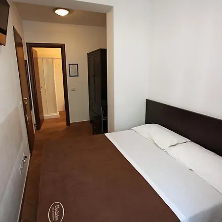 Orchidea & Civitanova Marche