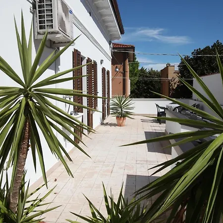 Orchidea & Nocleg ze śniadaniem