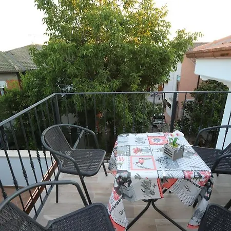 Orchidea & 西维尔诺瓦·马尔凯